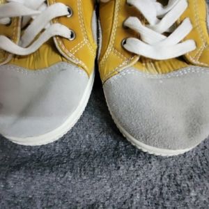 Joe's Jeans Canvas / Lace-Up Oxford Shoes.